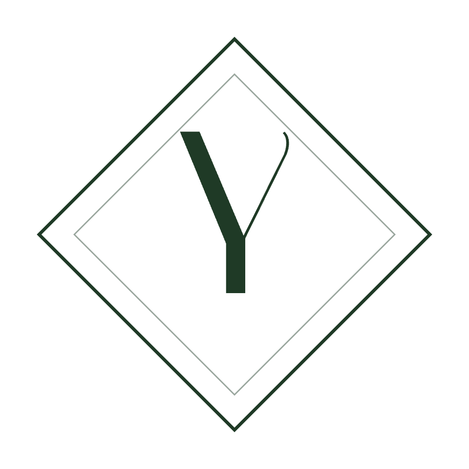 Pyvo